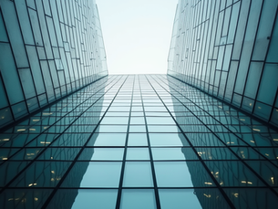 Top Executive Search Strategies for Quality Hires