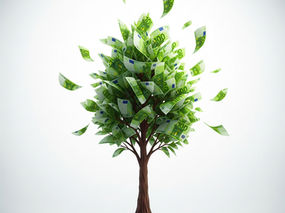 Un arbre avec des Euros