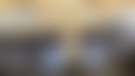 猛暑が続く毎日です