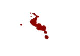 Bloodspatter3.png