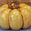 Thumbnail: Large Pumpkin Gourd w/ Stem