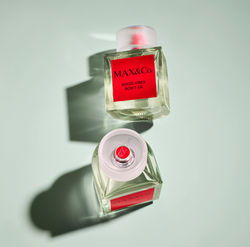 SS_MaxMara__SHOT_02_041_GreenAllOverTopFocus_Comp_p-min_edited_edited