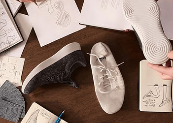 The Shoe That Goes Unseen But Works Every Day