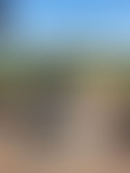 Escapade sur les routes des vins de Valence J1