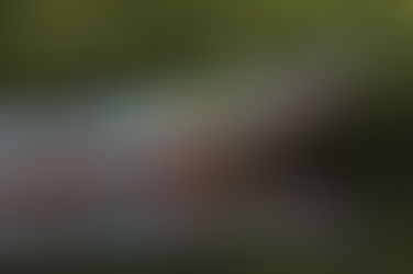 Sur les chemins du Sénégal J5 et J6