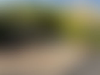 Sur les falaises du Barranc del Cint : à la rencontre des vautours