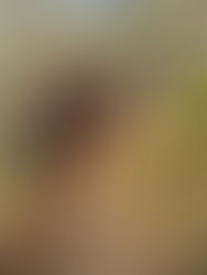 Sur les sentiers d'Oltà par la face nord, saison 2 version chorale