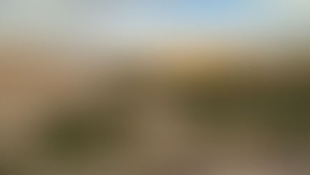 Sur les sentiers de Castilla-La Mancha again