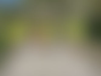 Sur les sentiers de Millena