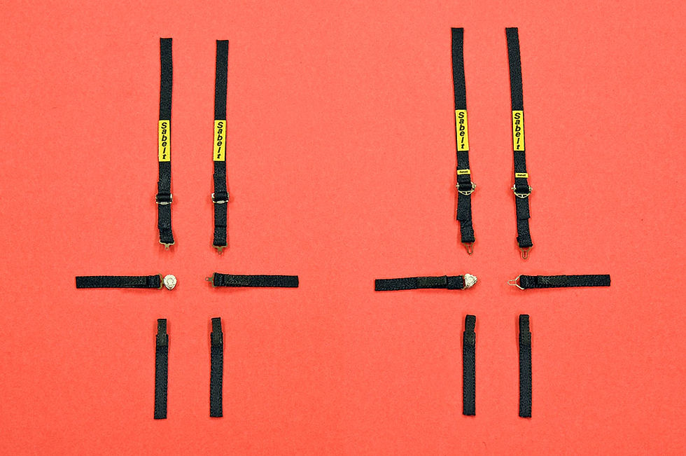 Thumbnail: 2020 Type Seat Belt