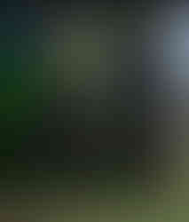 Gtx 660 performance in Red dead redemption 2