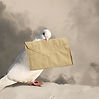 postduif