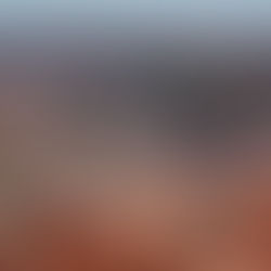 O óleo de soja move a cozinha e a indústria brasileira