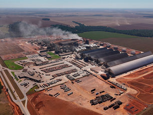 O óleo de soja move a cozinha e a indústria brasileira