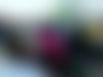 Em Paranatinga, Rodada Técnica da Aprosoja MT aborda sobre adubação nitrogenada e potássica