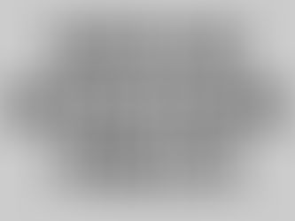 NOTA DE RETRATAÇÃO  JORNAL ELNEWS