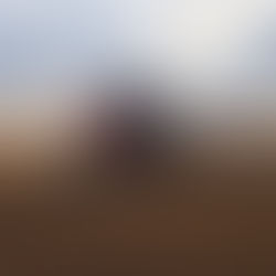 Chuvas desafiam colheita da soja em Mato Grosso