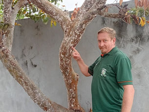 Sama alerta para cuidados com plantas infectadas pela cochonilha
