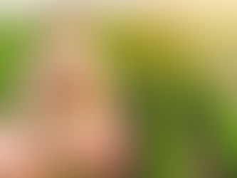 Senado aprova renegociação de dívidas rurais; Aprosoja vê alívio para crise de crédito no campo