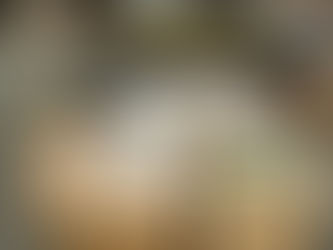 Cigarrinho do Capeta - PRF apreende 5.720 maços de cigarros sem nota fiscal em Primavera