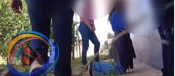 Tortura em escola de MT. Aluna de joelhos apanha de 4 colegas