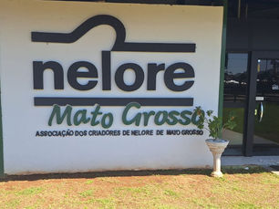 Nelore MT têm estande na Acricorte 2025 e reforça compromisso com a cadeia da carne