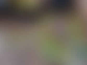 Grupo que comandava esquema de raspadinhas ilegais em mais de 20 cidades de MT é alvo de operação