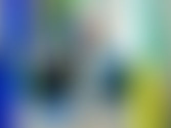 Líder do Prefeito ataca gestão e responsabiliza Machnic por trocas de secretários