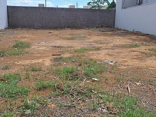 Terreno limpo ou a multa vai ser pesada, é o que promete nova Lei em Primavera
