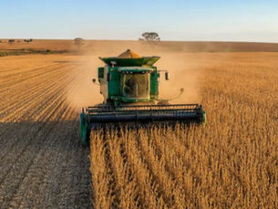 Governo prepara medida para sabotar renegociação de dívidas no Agro