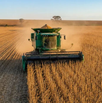 Governo prepara medida para sabotar renegociação de dívidas no Agro