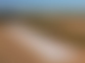 Armazenagem segue como desafio estratégico para os produtores de Mato Grosso