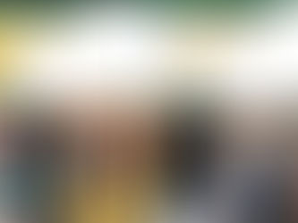 Percent: Wellington lidera para Governo. Janaína monopoliza segundo voto para senado e governo