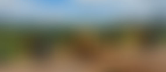 Avião Agrícola cai no trevo para Poxoréo e piloto vai a óbito - FOTOS e VÍDEO