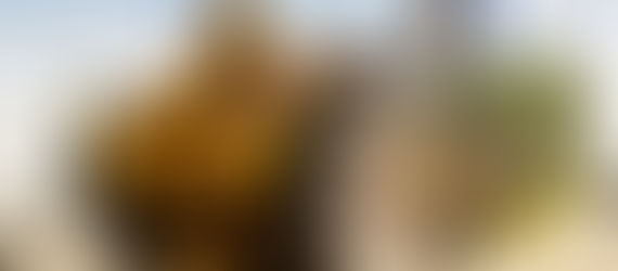 Mato Grosso concentra 43% dos empregos do agro criados no Brasil e Primavera é o 3º no estado.