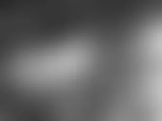 Ativistas brasileiros são detidos ao tentar furar bloqueio em Gaza