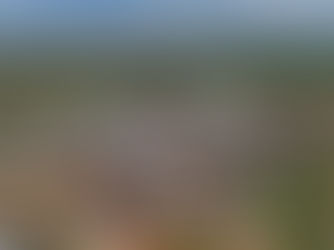 A FORÇA DO AGRO - Renda média de Primavera do Leste supera de várias capitais do Brasil 