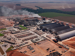 Brasil é líder mundial na produção de biocombustíveis e Mato Grosso tem papel estratégico no cenário nacional