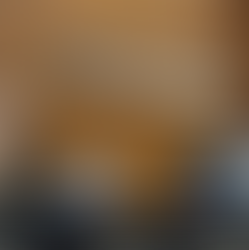 Janaina Riva apresenta propostas para conter avanço do Fethab e ampliar segurança jurídica ao produtor em MT