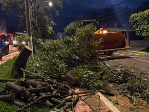 Arvores caídas e danos estruturais são registrados após chuva com ventos fortes