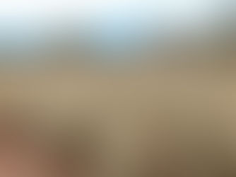 Banco do Brasil renegocia R$ 1,8 bi de dívidas de produtores rurais do RS