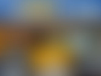 PRF de Primavera apreende mais de 200 kg de drogas e dá prejuízo para o narcotráfico