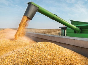 Instabilidade na soja, pecuária e crédito: MT  é lider com 17% dos pedidos de recuperação judicial em todo páis