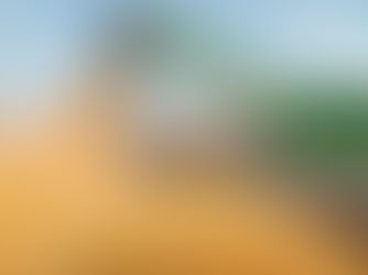 Instabilidade na soja, pecuária e crédito: MT  é lider com 17% dos pedidos de recuperação judicial em todo páis