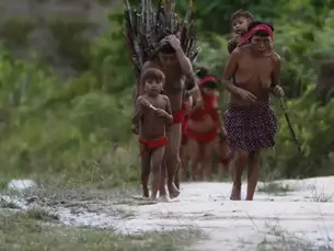 Líderes ianomâmis denunciam, em carta, omissão do desgoverno do ex-presidiário