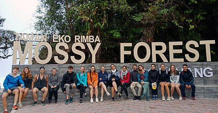 mossy forest cameron highlands.jpg