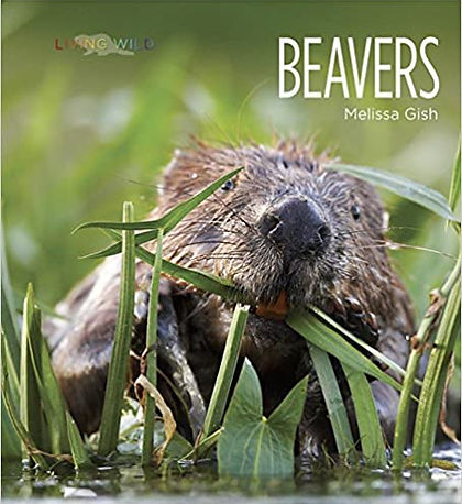 living wild beavers melissa gish cover.j