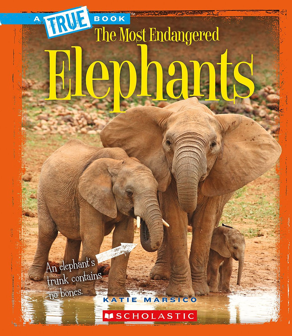 Elephants Keystone Species Resources