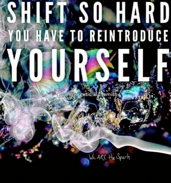 our wild goose chase home as peacefull inner warriors united