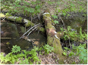 Getting Roped Into Other Peoples' Orbits/Vortexes